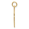 14k Large M.D. Caduceus Charm