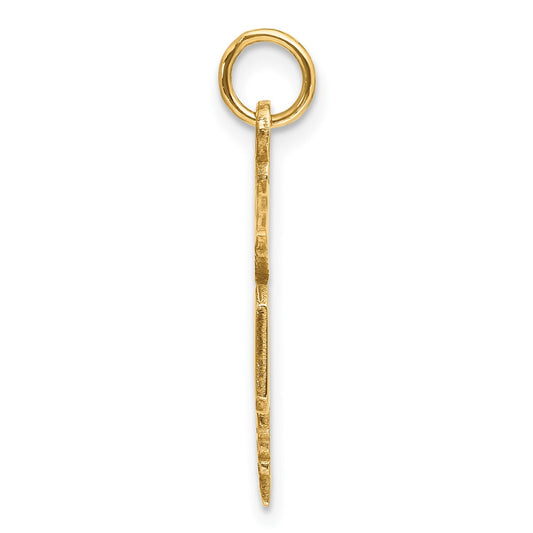 14k Large M.D. Caduceus Charm