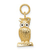 14K Enameled Graduation Owl Charm