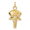 14k Nurse Symbol Charm
