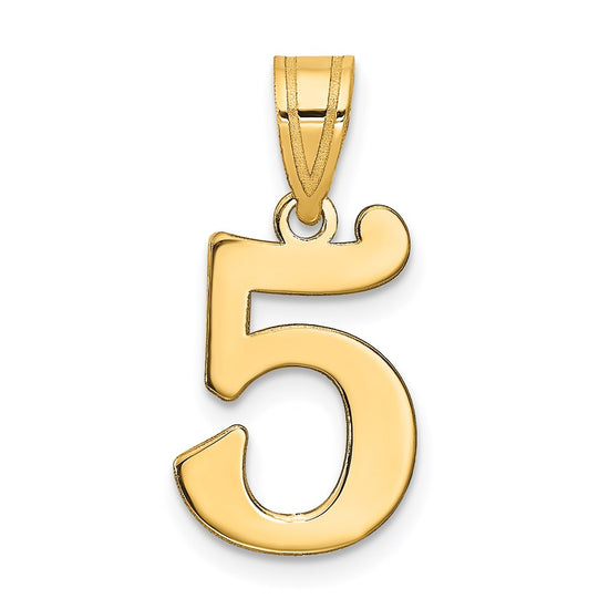 14k Polished Number 5 Pendant