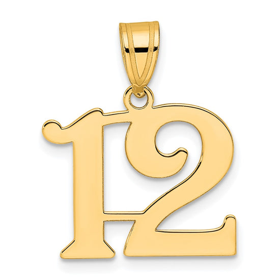 14k Polished Number 12 Pendant