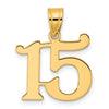 14k Polished Number 15 Pendant