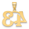 14k Polished Number 43 Pendant