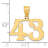 14k Polished Number 43 Pendant