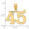 14k Polished Number 45 Pendant