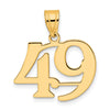 14k Polished Number 49 Pendant