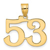 14k Polished Number 53 Pendant