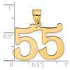 14k Polished Number 55 Pendant
