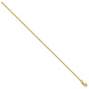 Gold (10K & 14K) Box Chain — 1.1 mm