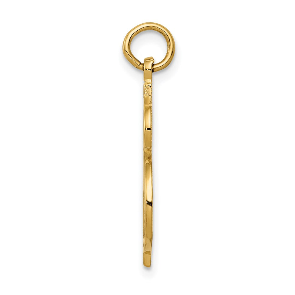 Gold Polished Dollar Sign Pendants