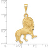 14k Brushed Diamond-cut Lion Charm