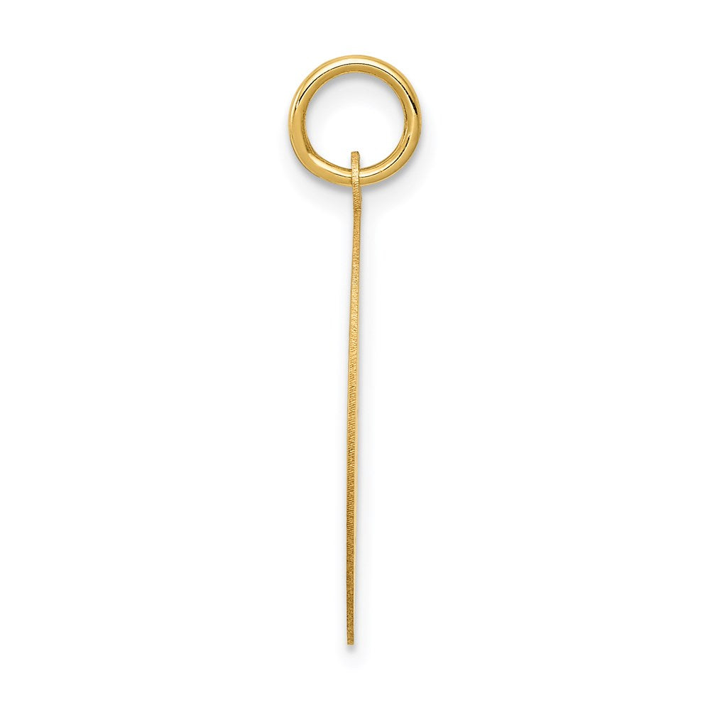 14k WRESTLING 19mm Engravable Disc Charm