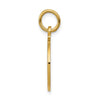 14K Satin and Polished COMMUNION Round Disc Charm