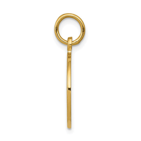 14K Satin and Polished COMMUNION Round Disc Charm
