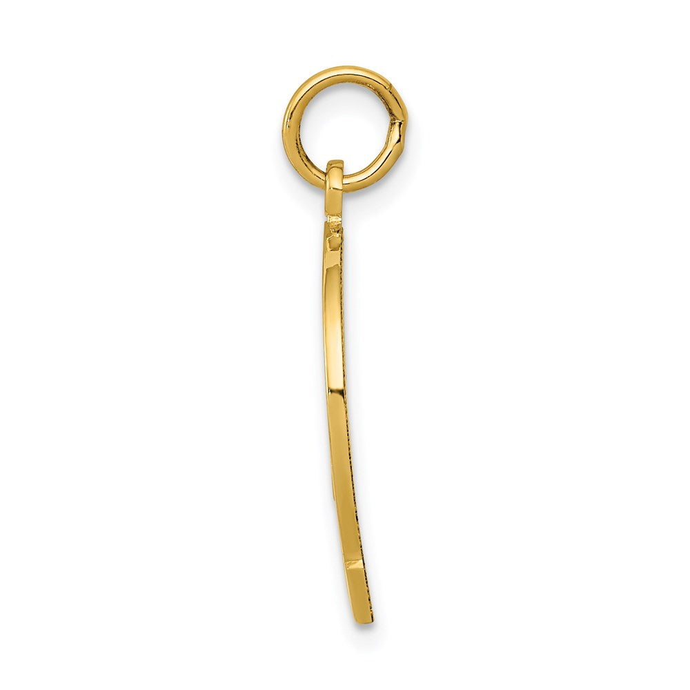Gold Polished Horseshoe Pendants