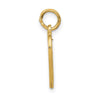 14k VERY SPECIAL SIS Heart Charm