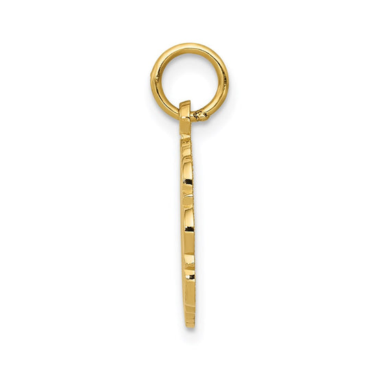 14k RN Registered Nurse Textured Back Disc Charm