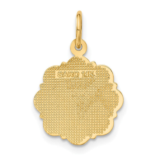 14k RN Registered Nurse Textured Back Disc Charm