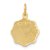 14k RN Registered Nurse Textured Back Disc Charm