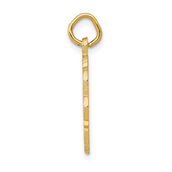 14k RN Registered Nurse Textured Back Disc Charm