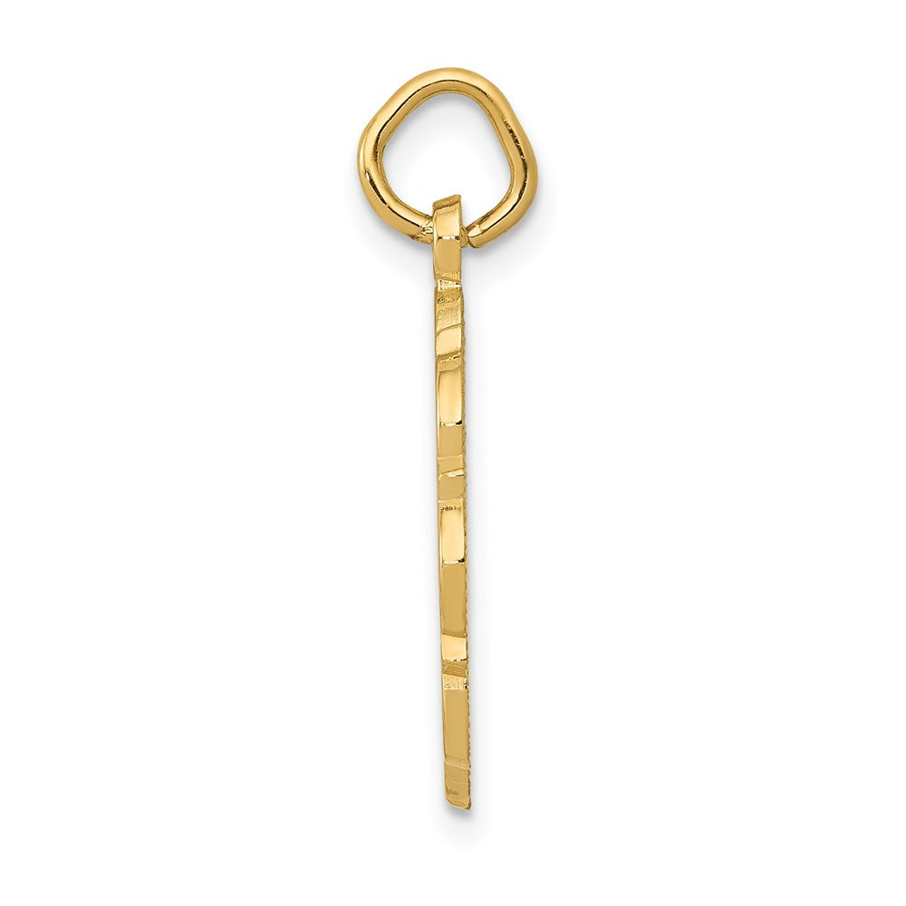 14k RN Registered Nurse Textured Back Disc Charm