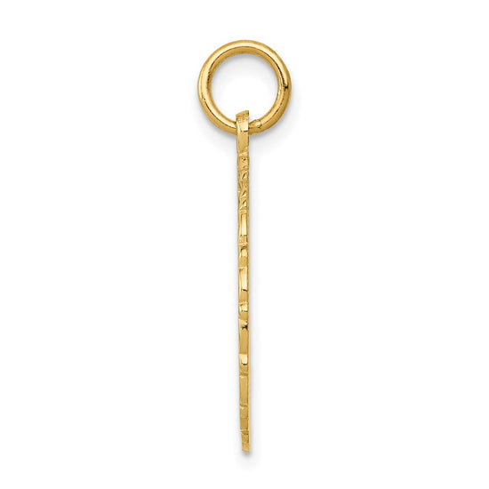 14k RN Registered Nurse Textured Back Disc Charm
