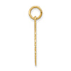 14k RN Registered Nurse Textured Back Disc Charm