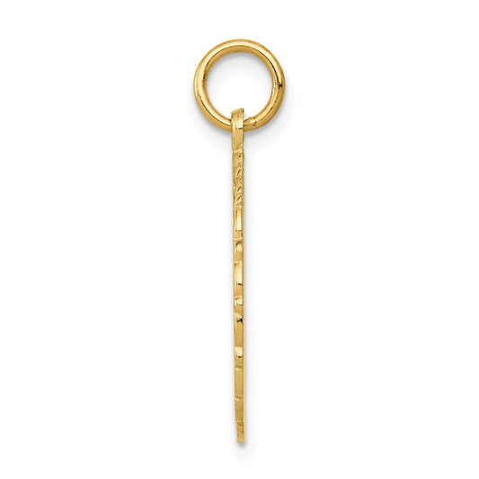 14k RN Registered Nurse Textured Back Disc Charm