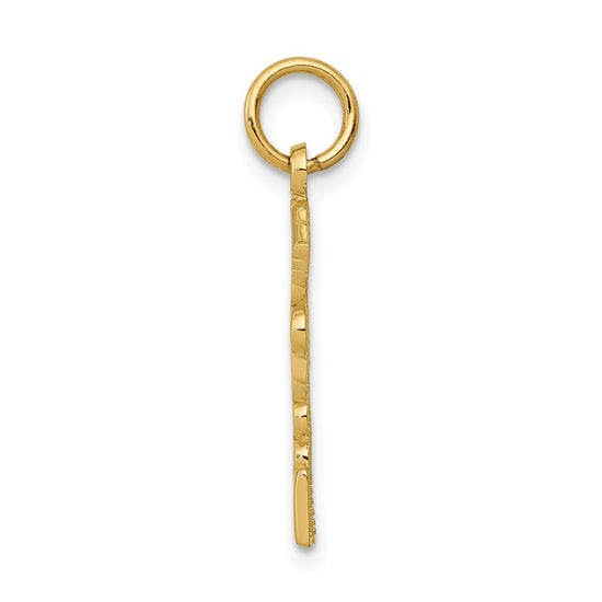 14k RNP Registered Nurse Practitioner Charm