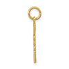 14k RNP Registered Nurse Practitioner Charm