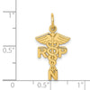 14k RNP Registered Nurse Practitioner Charm