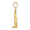 14k Polished and Textured Penguin Charm