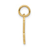 14K Racing Flags SPEED FREAK Charm