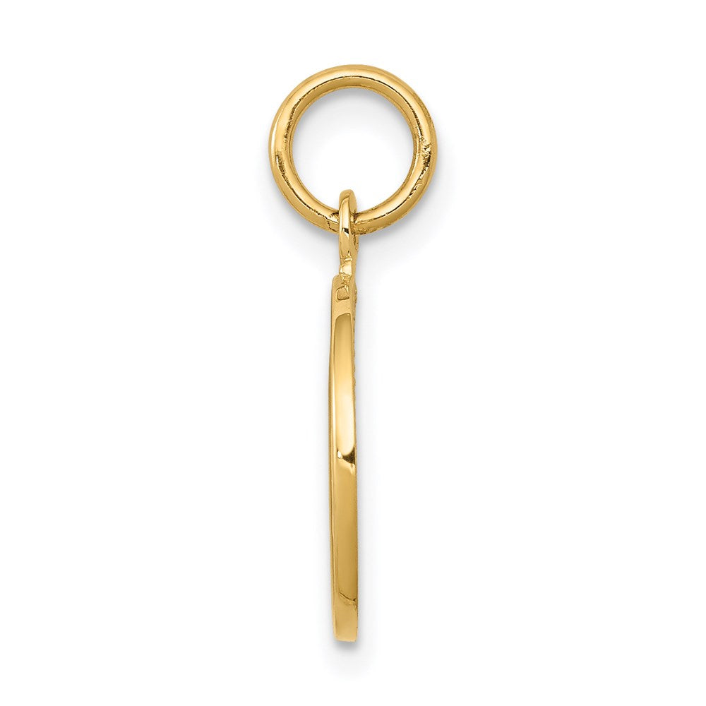 14k Polished Angel Round Charm