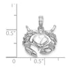 14K White Gold Stone Crab Charm
