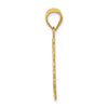 14k Solid Satin Polished Leo Zodiac Oval Pendant