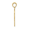 Gold Polished Medical Pendants