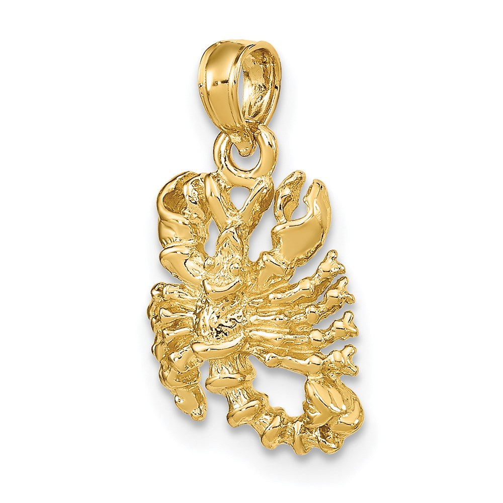 Gold 3D Zodiac Charm