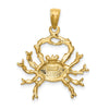 Gold Zodiac Pendant