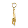 14k 3-D CAPE COD Double Flip-Flop Charm