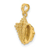 Gold Polished Sea Shell Pendants