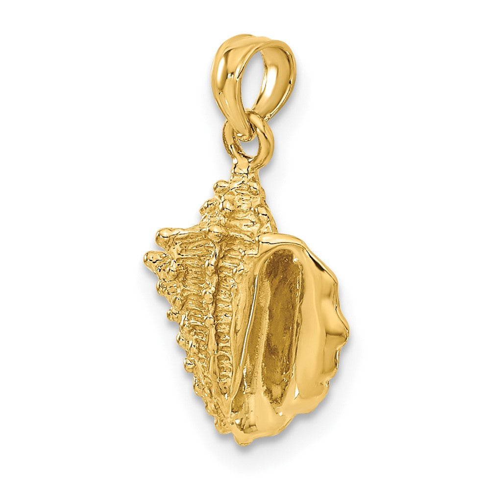 Gold Polished Sea Shell Pendants