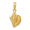 Gold Polished Sea Shell Pendants