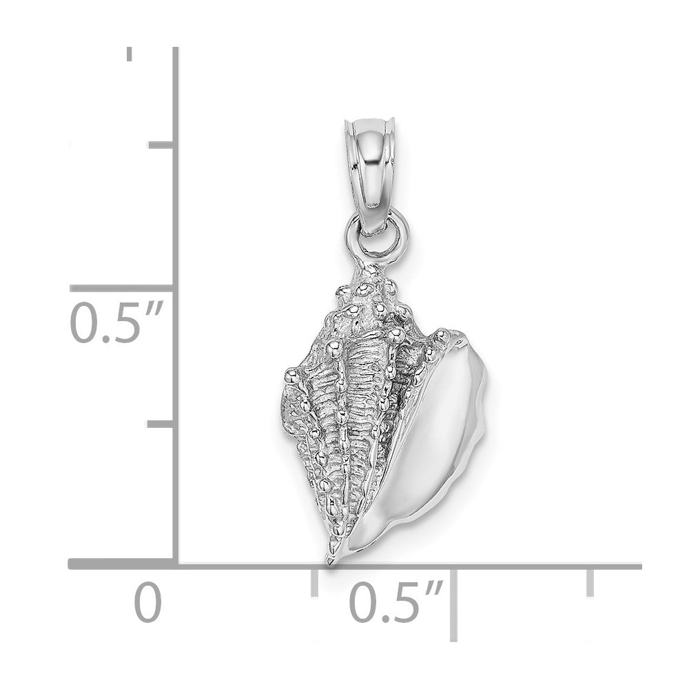 Gold Polished Sea Shell Pendants