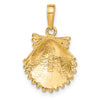 Gold Polished Sea Shell Pendants