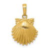 Gold Polished Sea Shell Pendants
