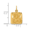 14K Satin and Diamond-Cut Angel Square Charm