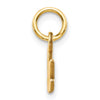 Gold Satin NANA Charm