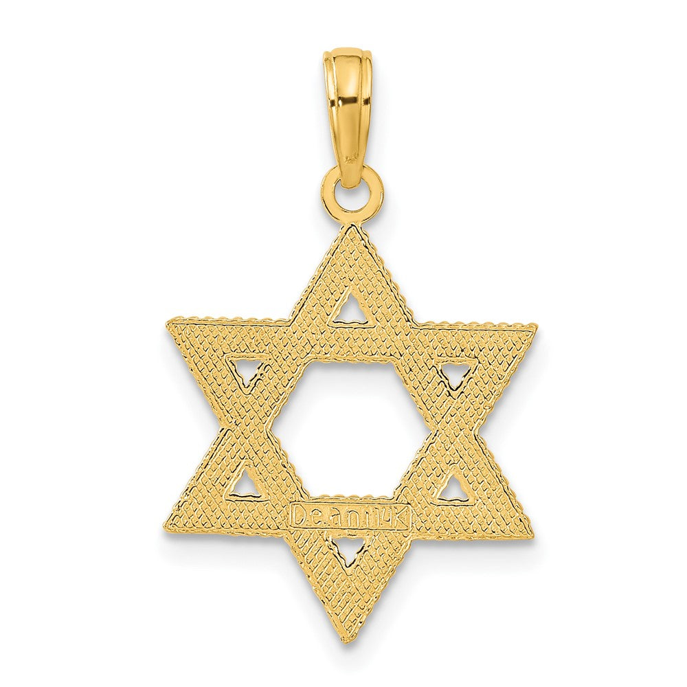 14k Textured Star of David Pendant